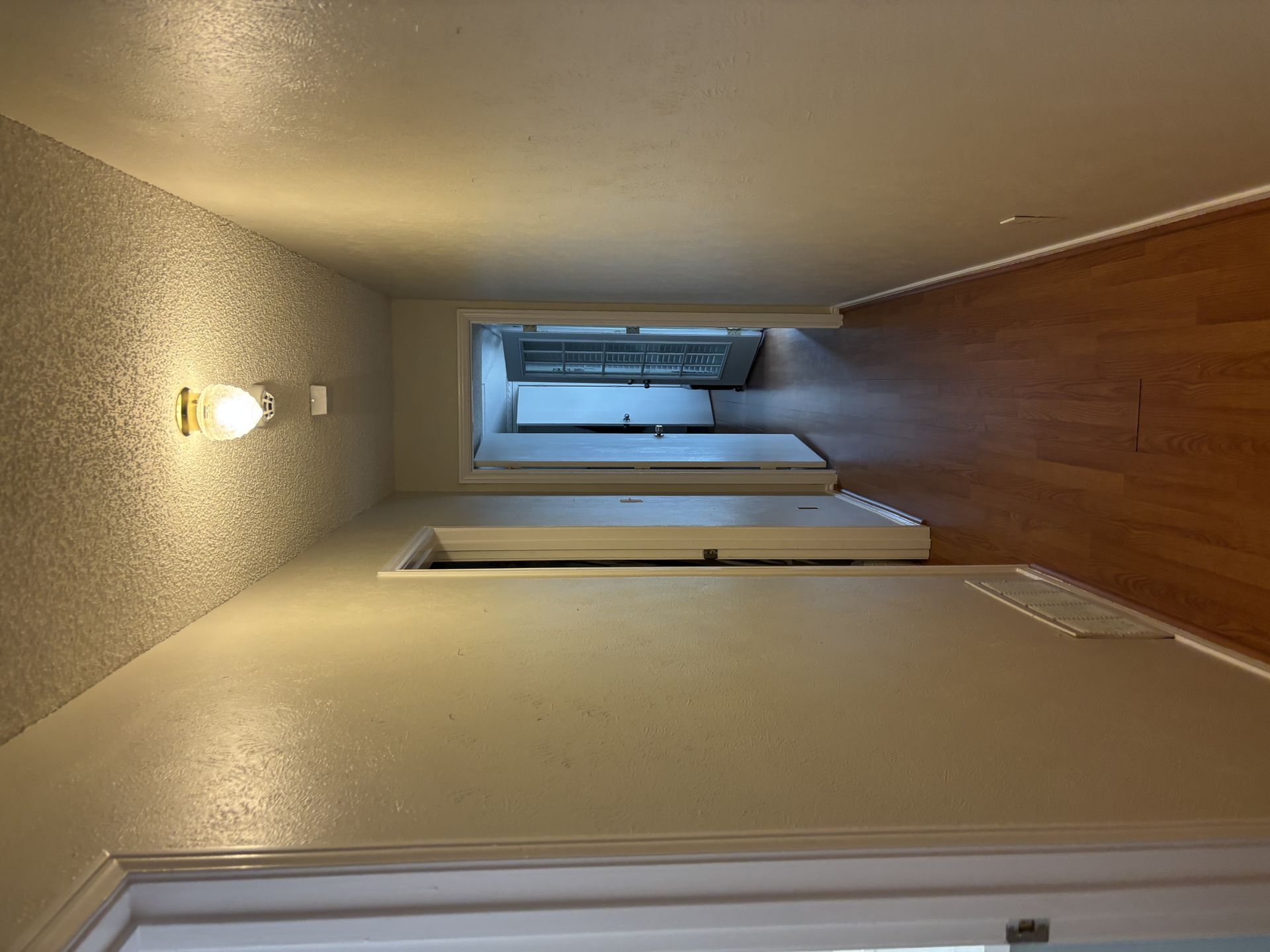 IMG 0253